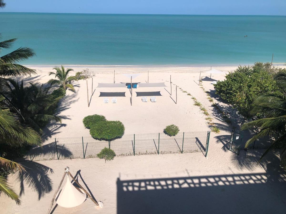 Playa 55 Beach Escape - Adults Only Guesthouse Celestun Luaran gambar