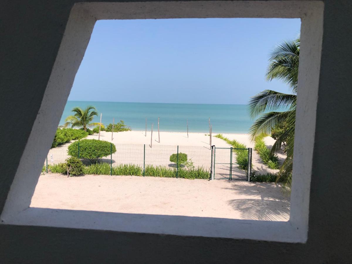 Playa 55 Beach Escape - Adults Only Guesthouse Celestun Luaran gambar