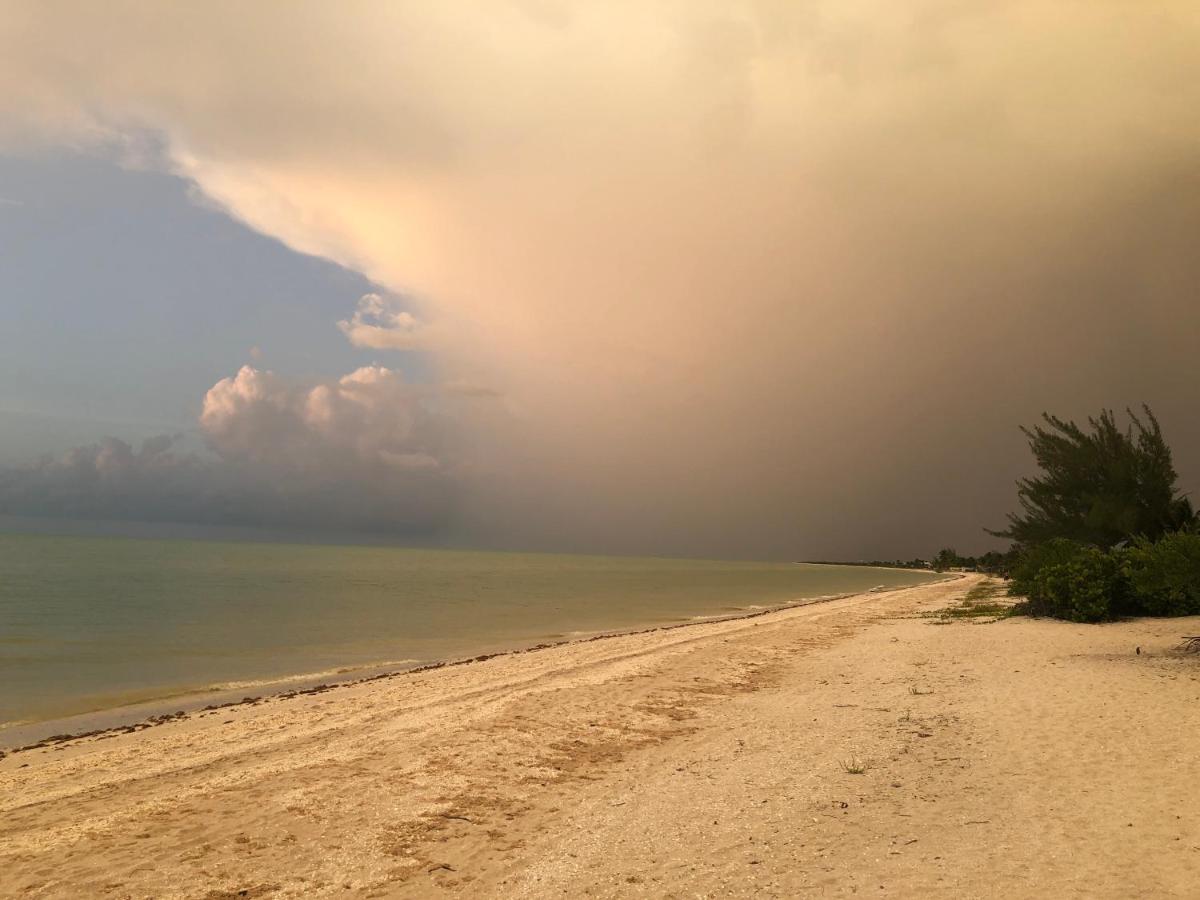 Playa 55 Beach Escape - Adults Only Guesthouse Celestun Luaran gambar