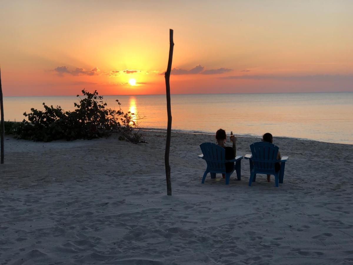 Playa 55 Beach Escape - Adults Only Guesthouse Celestun Luaran gambar