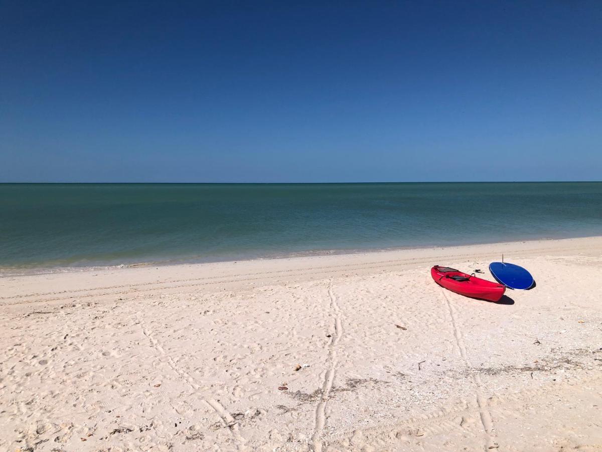 Playa 55 Beach Escape - Adults Only Guesthouse Celestun Luaran gambar
