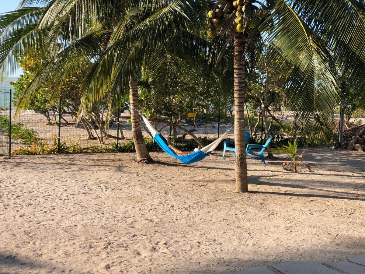 Playa 55 Beach Escape - Adults Only Guesthouse Celestun Luaran gambar