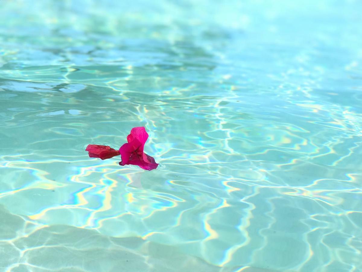 Playa 55 Beach Escape - Adults Only Guesthouse Celestun Luaran gambar